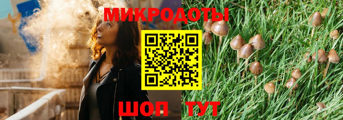 купить закладку  Псилоцибиновые грибы MAGIC MUSHROOMS  Волгоград  Вход с VPN  Галлюциногенные грибы ЛСД 