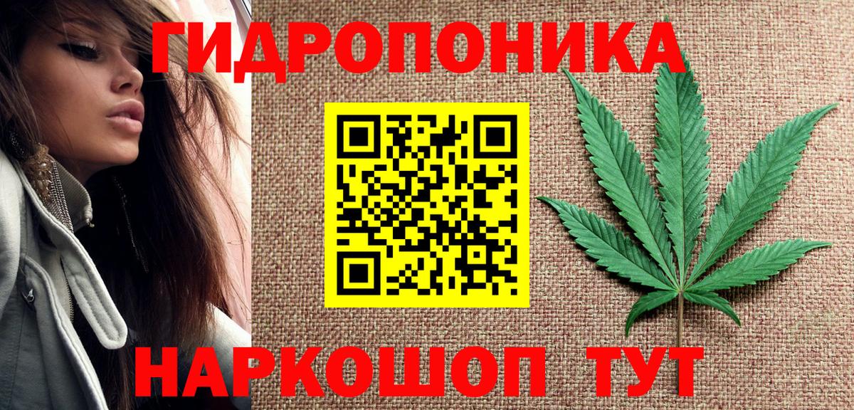 Шишки марихуана тримм  Вход с VPN  Волгоград  Каннабис AK-47  Шишки марихуана план 